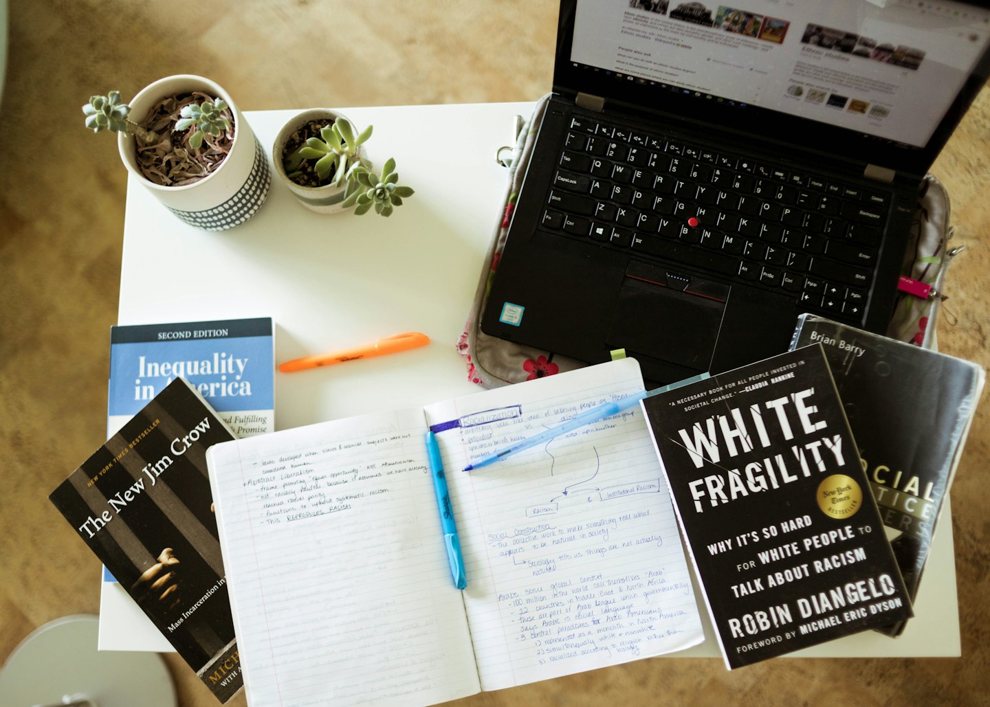 Laptop, books, and succulents on a desk.